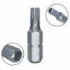 Imagem de BITS TORX T20 - Enc. 1/4" x 25mm [C/10]